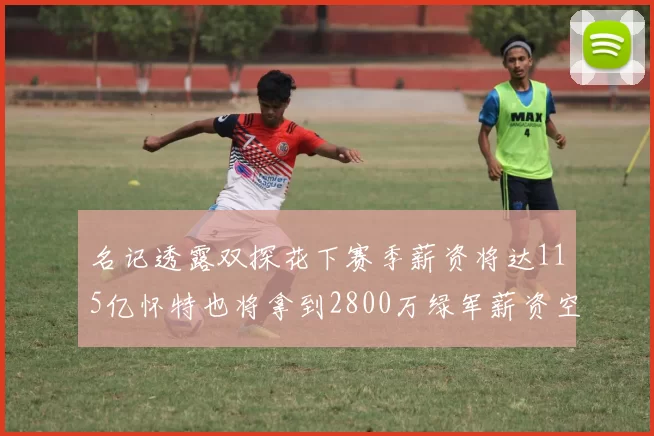 名记透露双探花下赛季薪资将达115亿怀特也将拿到2800万绿军薪资空间依旧紧张