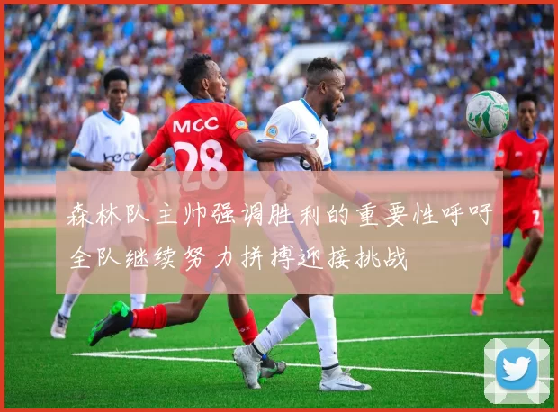 森林队主帅强调胜利的重要性呼吁全队继续努力拼搏迎接挑战